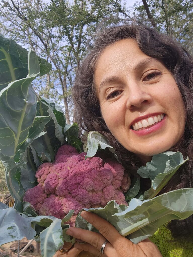 FABI COL MORADA